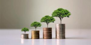 Image of growing trees on coins arranged in increasing order indicating how trade can blend profit with care for our environment.