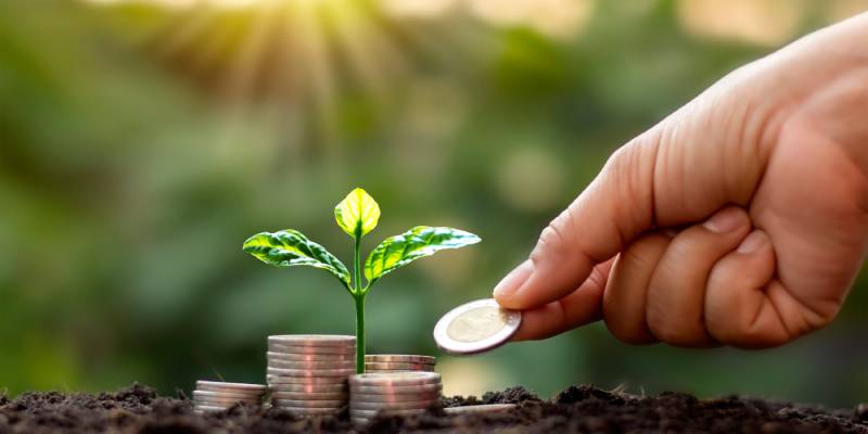 Image of a sapling on the soil and heap of coins around it depcting SME finance.