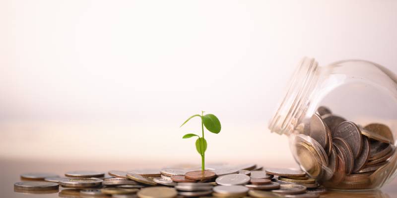 Image of a sapling growing on a stack of coins and more coins getting added to it from a jar of coins depicting financial expansion.
